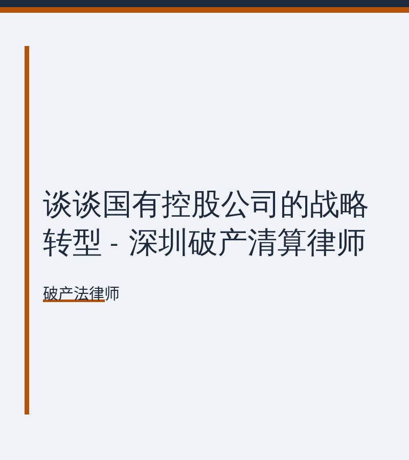 谈谈国有控股公司的战略转型 - 深圳破产清算律师